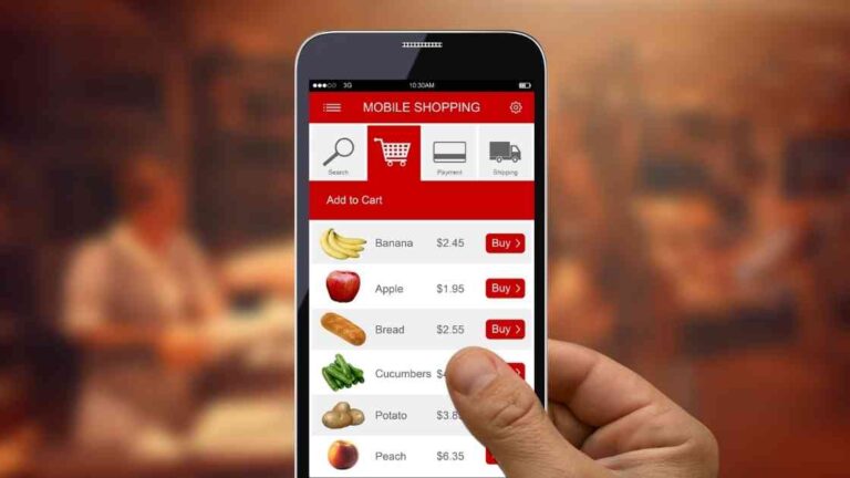 Grocery Delivery App Business Models